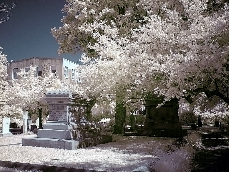 Charleston Graveyard 1