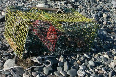 Wire Lobster Trap, Ashore