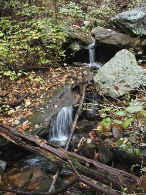 Along The Keown Falls Trail