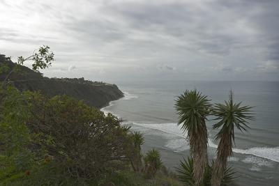 _MG_1533.jpg