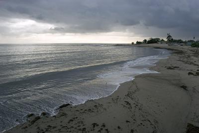 _MG_1556.jpg