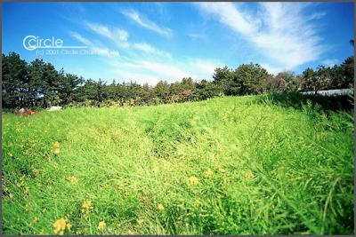 Cheju Kerea Tour 2001
