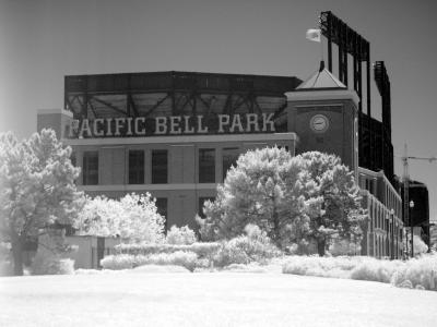 pb_park_1_ir_bw.jpg