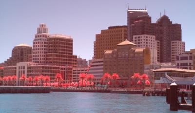 sf_buildings1_fc.jpg