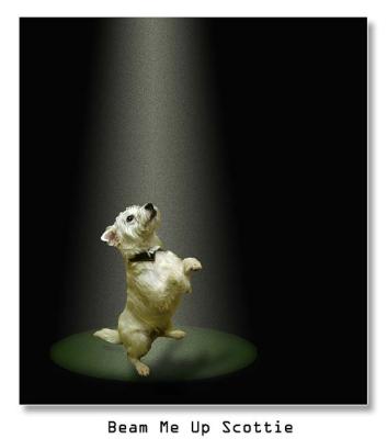 Beam Me Up, Scottie