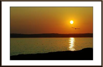 Ocean Point Sunset