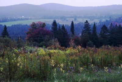 Early Morning near Craftsbury