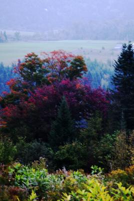 Same morning; another scene.