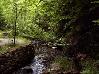 u12/conksout/medium/3020748.MunisingFallswalkway.jpg