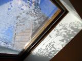 DSC00395.JPG