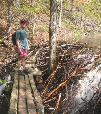 beaver dam at Birch lake in Moulton Gorge