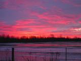 pink sunrise -- Jan--02--2005