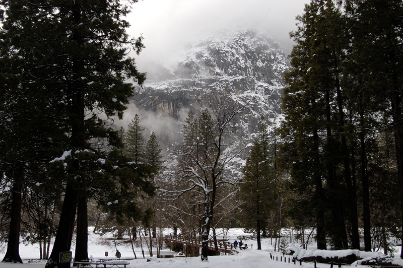 DSC_2624.jpg
