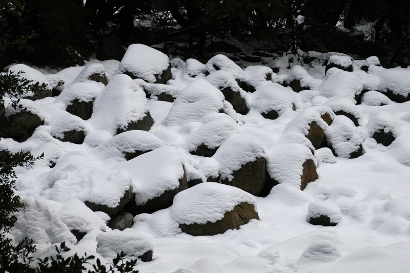DSC_2642.jpg