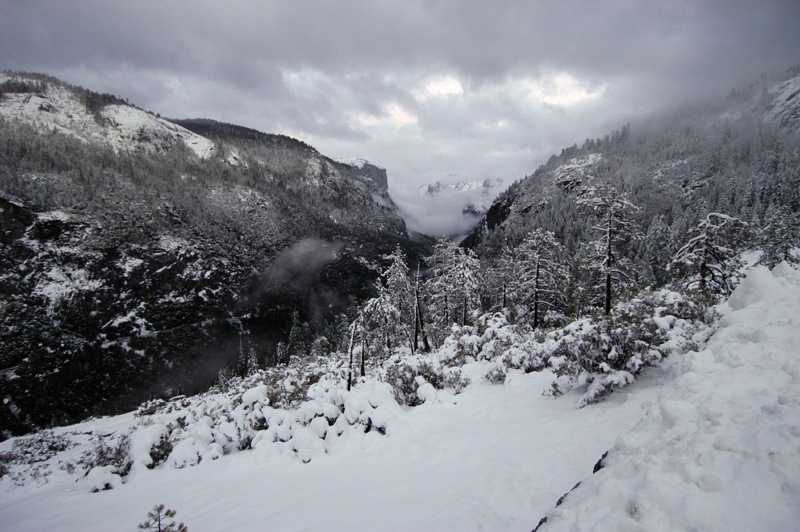DSC_2652.jpg