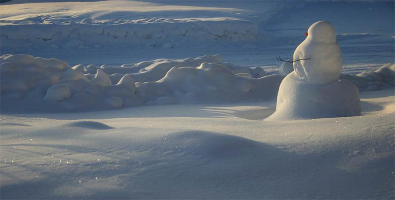 A Snowmans Kingdom