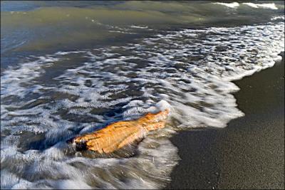 Surf's Up! (*)