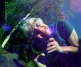 <B>On the Ball</B><br>by Ann Chaikin