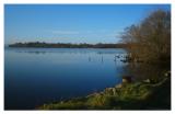 Lusty Beg Island