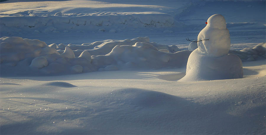 A Snowmans Kingdom
