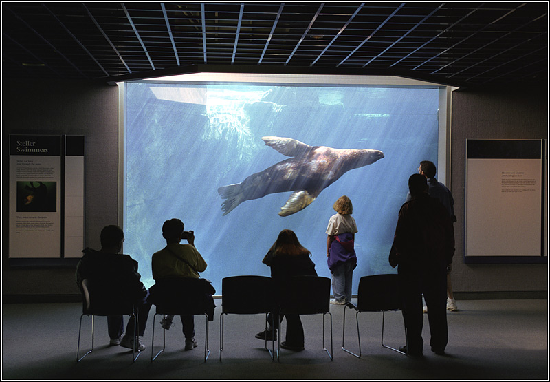 Alaska SeaLife Aquarium