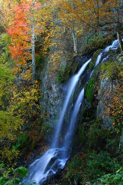 Lewis Falls