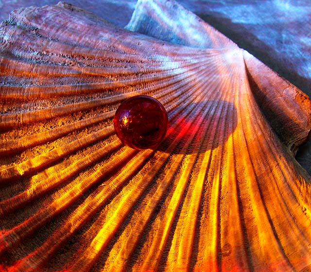 <b>6thPlace</b><br> Old Marble, Old Shell*