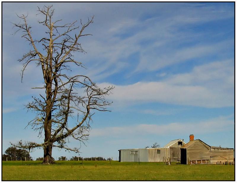 Australian Landscape