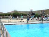 Dive