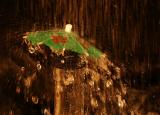 In the rain   *