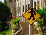 Fat-Arse Crossing *