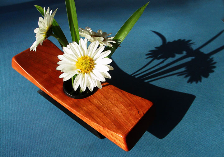 Taking Pictures of Still-lifes with my Digital Camera