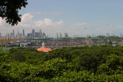 7429_port from mt faber.jpg