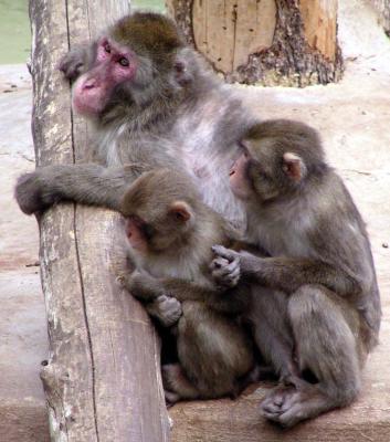 Rome Zoo