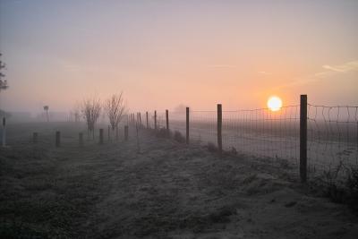 Buttonwillow Sunrise