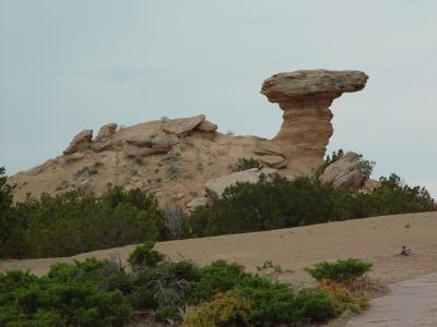 camel rock