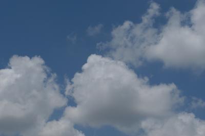 u12/dcappello/medium/3223377.DSC_0079.jpg