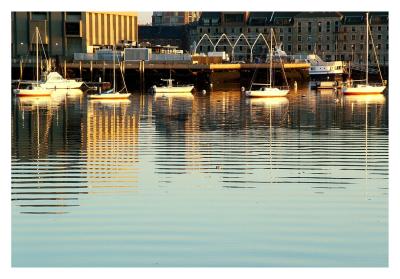Boston Harbor: White Boats