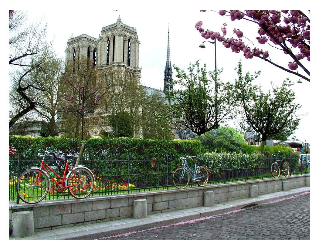 Three Bicycles