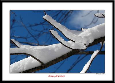 Snowy Branches.jpg