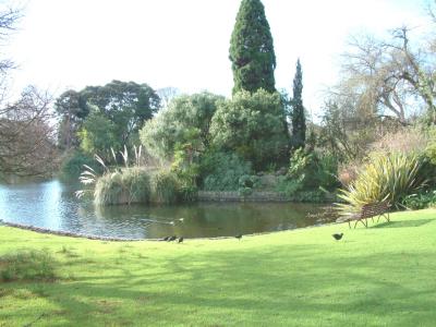 Melbourne Botanic Gardens