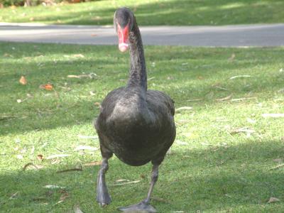 What You looking at?.JPG