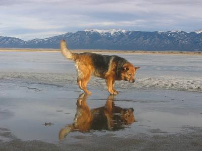 Great Sand Dunes