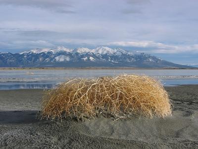 Great Sand Dunes