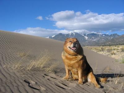 Great Sand Dunes