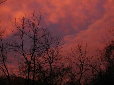 Weird Reflective Sunset, 11/24/04