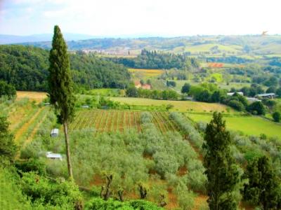 The Tuscan countryside as seen from our room at the Hotel Villa Lecchi 3