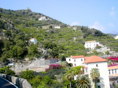 Mountain above the Hotel Marmorata. Typical of the area, there are residences and crops on terraces on the mountain.