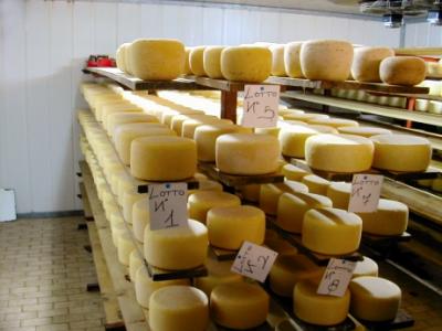 The cheese is then cleaned with a rotating brush and then aged, as shown here, in refrigerators.