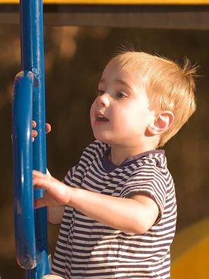 Luke on playset 1425 blown.jpg